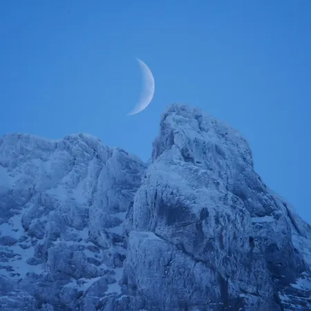 유스호스텔 호스텔 *