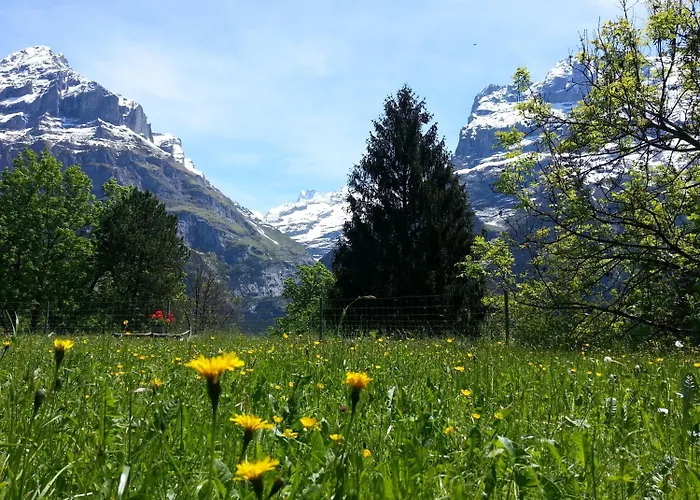 유스호스텔 호스텔