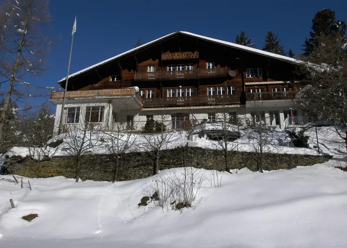 Youth Hostel