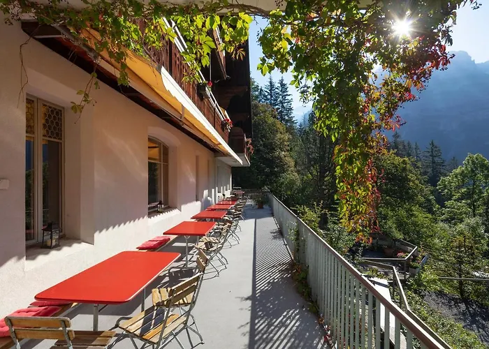 Youth Hostel *