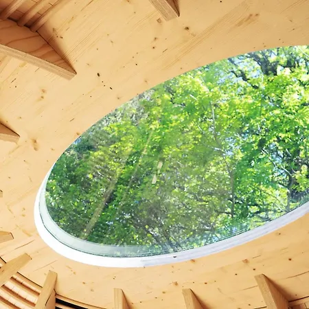 Youth אכסניה *