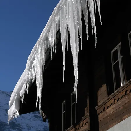 אכסניה Youth גרינדלוולד