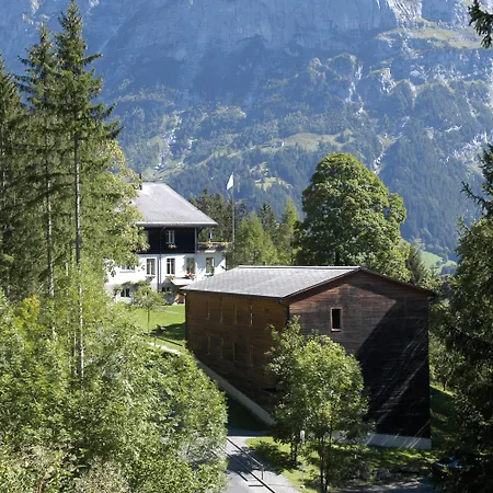 Youth * גרינדלוולד