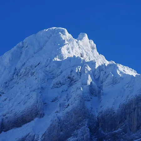 אכסניה Youth גרינדלוולד