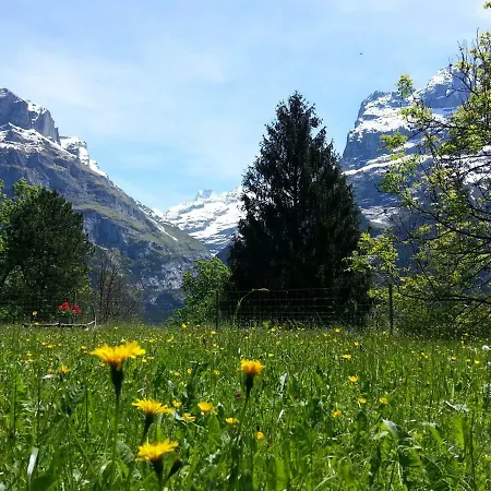 Auberge de jeunesse Youth Grindelwald